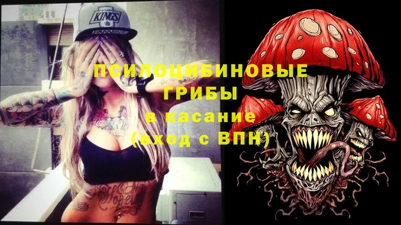 Псилоцибиновые грибы MAGIC MUSHROOMS  hydra зеркало  Чайковский  закладки 